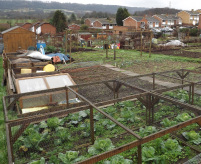 Sandling Lane Site